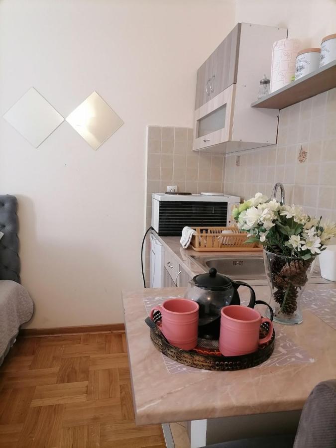 Studio Dunja Apartamento Vrnjačka Banja Exterior foto